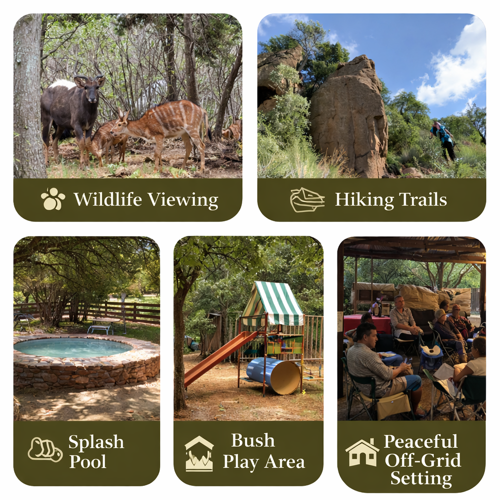 Ledbury Bos Kamp Activities